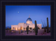 Load image into Gallery viewer, Tucson Cactus Morning
