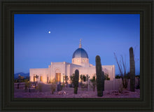 Load image into Gallery viewer, Tucson Cactus Morning
