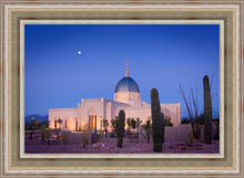 Load image into Gallery viewer, Tucson Cactus Morning

