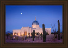 Load image into Gallery viewer, Tucson Cactus Morning
