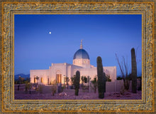 Load image into Gallery viewer, Tucson Cactus Morning
