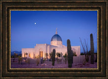 Load image into Gallery viewer, Tucson Cactus Morning
