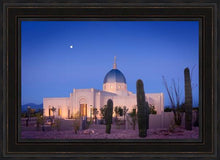 Load image into Gallery viewer, Tucson Cactus Morning
