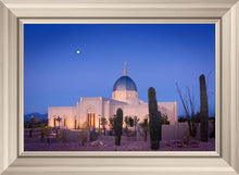 Load image into Gallery viewer, Tucson Cactus Morning
