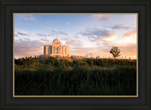 Load image into Gallery viewer, Meridian Reach for Exaltation
