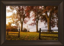 Load image into Gallery viewer, Nauvoo, An Ensign to the Nations
