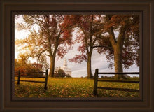 Load image into Gallery viewer, Nauvoo, An Ensign to the Nations
