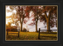 Load image into Gallery viewer, Nauvoo, An Ensign to the Nations
