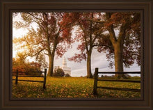 Load image into Gallery viewer, Nauvoo, An Ensign to the Nations

