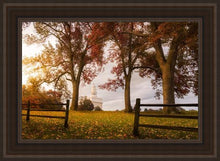 Load image into Gallery viewer, Nauvoo, An Ensign to the Nations
