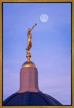 Load image into Gallery viewer, Tucson Trumpet Moon
