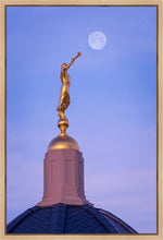 Load image into Gallery viewer, Tucson Trumpet Moon
