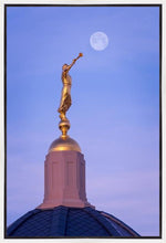 Load image into Gallery viewer, Tucson Trumpet Moon
