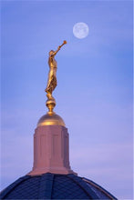 Load image into Gallery viewer, Tucson Trumpet Moon
