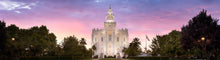 Load image into Gallery viewer, St. George Vista
