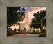 Load image into Gallery viewer, Ogden Pathways
