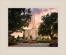 Load image into Gallery viewer, Ogden Pathways
