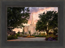 Load image into Gallery viewer, Ogden Pathways
