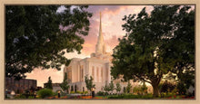 Load image into Gallery viewer, Ogden Pathways

