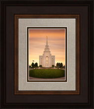 Load image into Gallery viewer, Kansas City Golden
