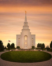 Load image into Gallery viewer, Kansas City Golden

