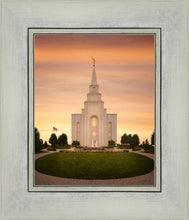 Load image into Gallery viewer, Kansas City Golden
