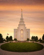 Load image into Gallery viewer, Kansas City Golden
