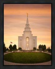 Load image into Gallery viewer, Kansas City Golden
