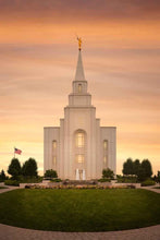 Load image into Gallery viewer, Kansas City Golden
