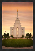 Load image into Gallery viewer, Kansas City Golden
