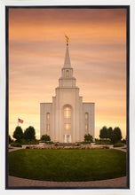 Load image into Gallery viewer, Kansas City Golden
