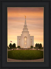 Load image into Gallery viewer, Kansas City Golden
