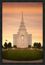 Load image into Gallery viewer, Kansas City Golden
