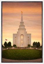 Load image into Gallery viewer, Kansas City Golden
