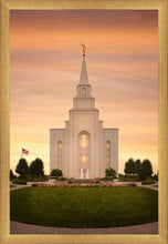 Load image into Gallery viewer, Kansas City Golden
