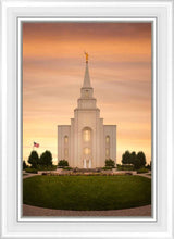 Load image into Gallery viewer, Kansas City Golden
