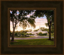 Load image into Gallery viewer, St. Paul Refuge
