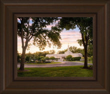 Load image into Gallery viewer, St. Paul Refuge
