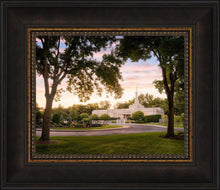 Load image into Gallery viewer, St. Paul Refuge
