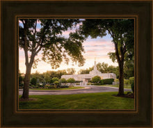 Load image into Gallery viewer, St. Paul Refuge
