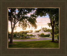 Load image into Gallery viewer, St. Paul Refuge

