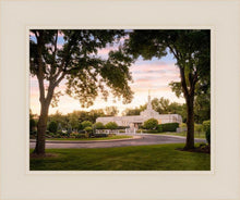 Load image into Gallery viewer, St. Paul Refuge
