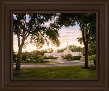 Load image into Gallery viewer, St. Paul Refuge
