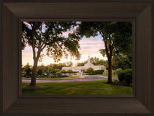 Load image into Gallery viewer, St. Paul Refuge
