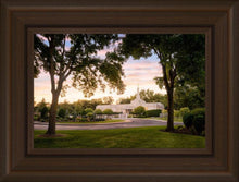Load image into Gallery viewer, St. Paul Refuge
