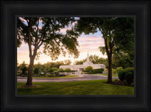 Load image into Gallery viewer, St. Paul Refuge

