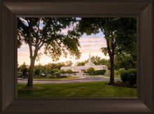 Load image into Gallery viewer, St. Paul Refuge
