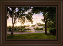 Load image into Gallery viewer, St. Paul Refuge
