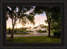 Load image into Gallery viewer, St. Paul Refuge
