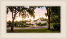 Load image into Gallery viewer, St. Paul Refuge

